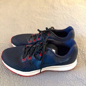 Nike Zoom Pegasus 34